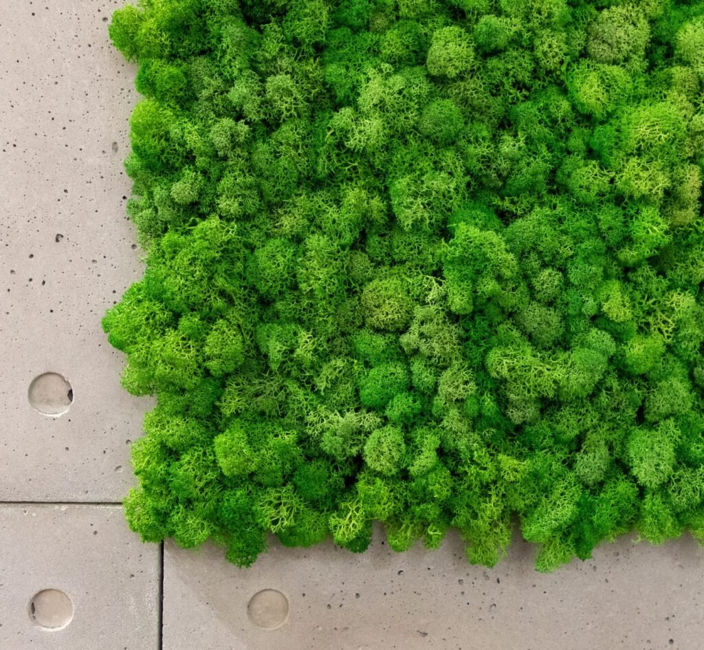 Een buitengevel met MossWall geeft het gebouw een natuurlijke uitstraling.