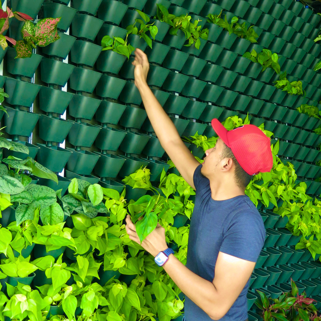 Plaatsing van planten en substraat in de ForestWall