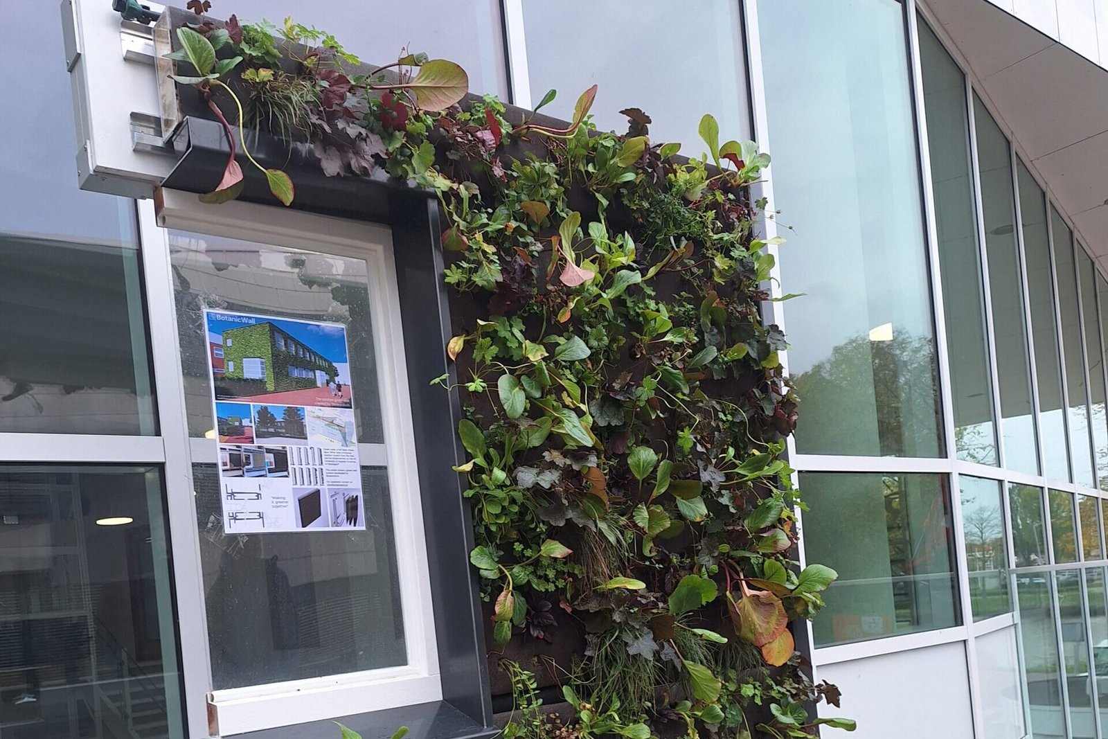 Beeld van proefopstelling gemaakt van onderzoek groene gevel buiten