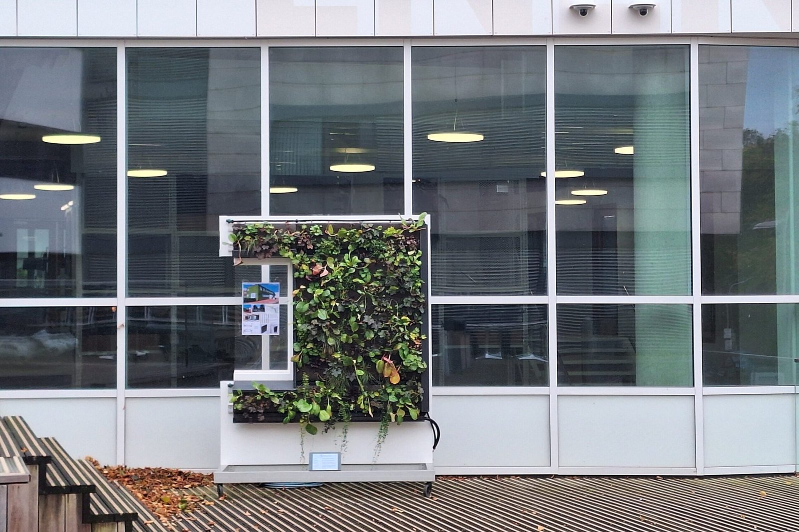 Beeld van proefopstelling gemaakt van onderzoek groene gevel buiten