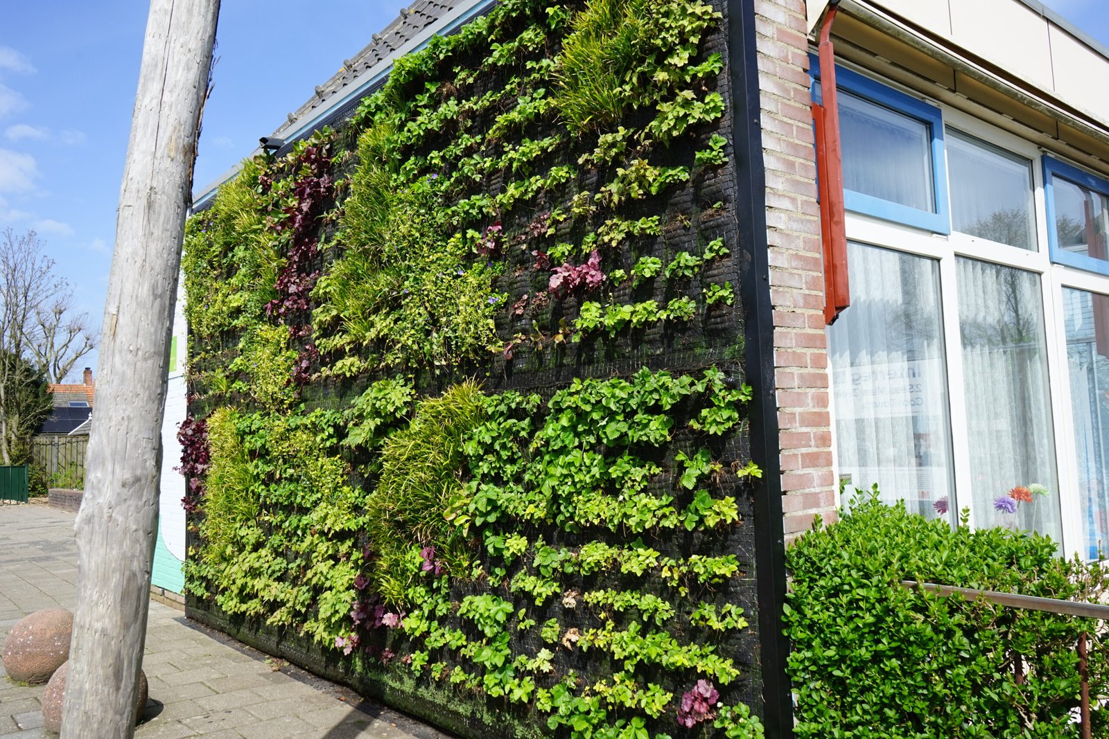 Een aanzicht van de groene gevel aan de school: ''De Lonneboot''.