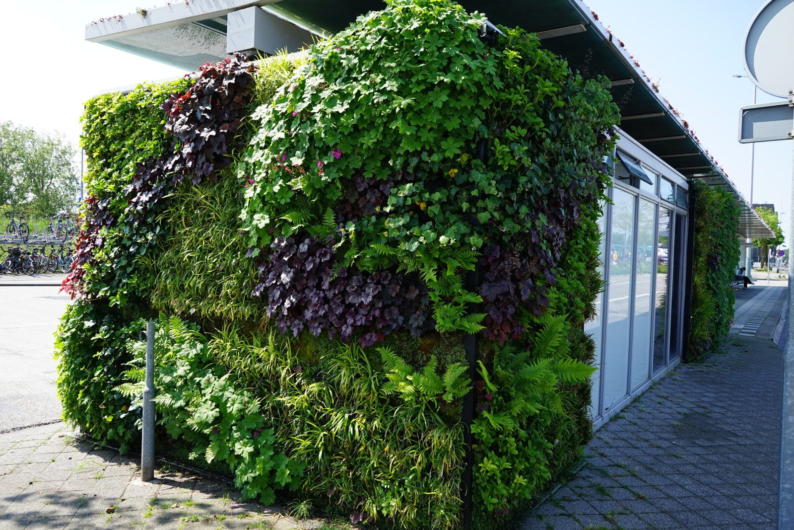 Een beeld van een deel van de groene gevel aan de bushalte van station Middelburg na onderhoud.