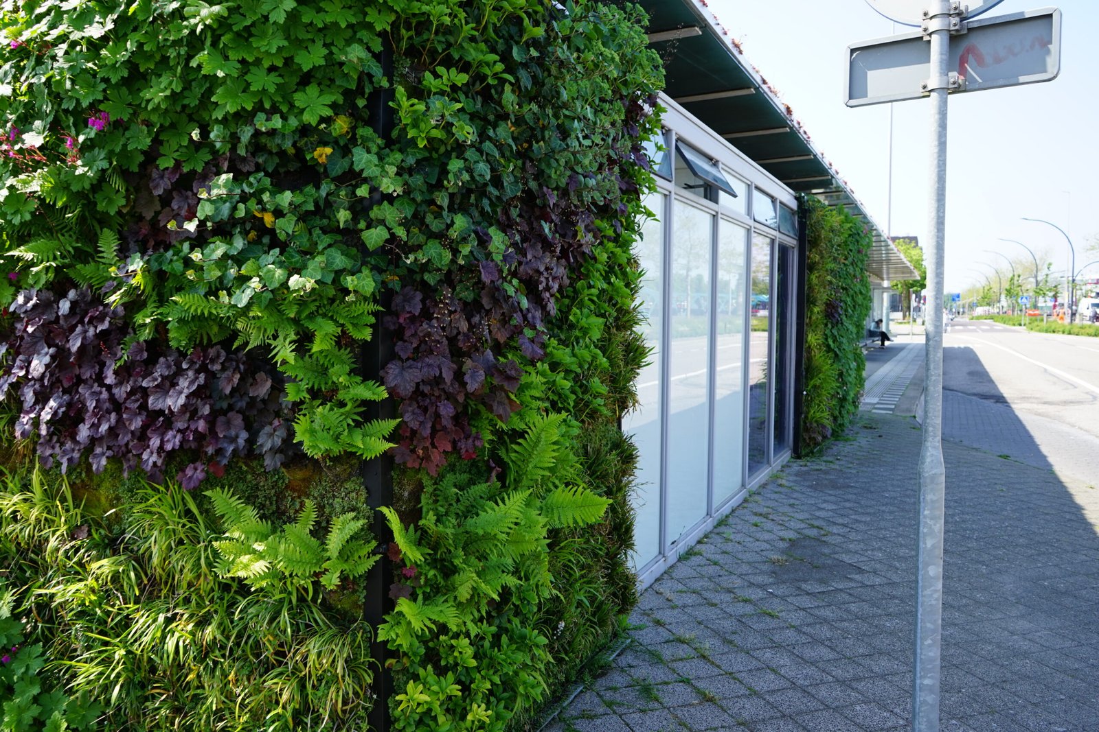 Een beeld van een deel van de groene gevel aan de bushalte van station Middelburg na onderhoud.