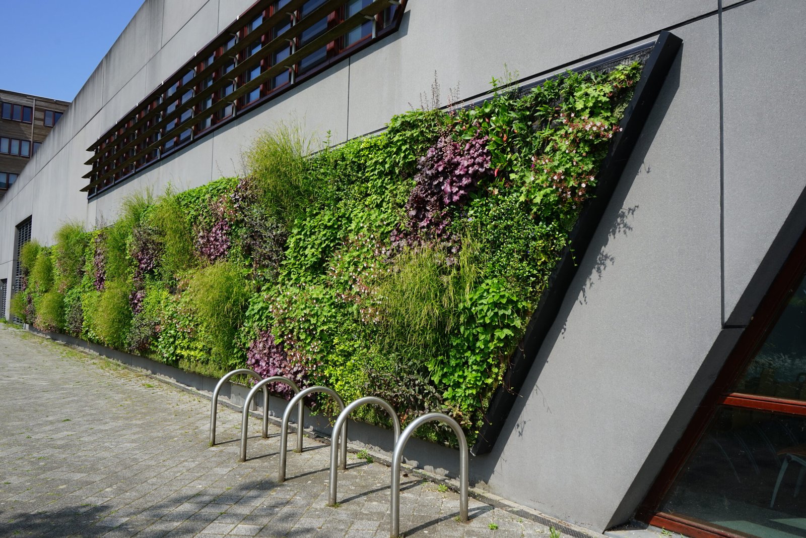 Een beeld van een deel van de groene gevel aan het Stadskantoor van Gemeente Middelburg na onderhoud.
