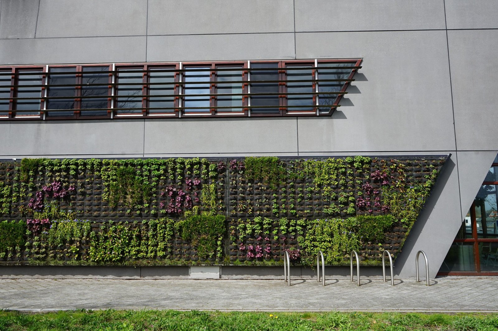 Een beeld van een deel van de groene gevel aan het Stadskantoor van Gemeente Middelburg na onderhoud.