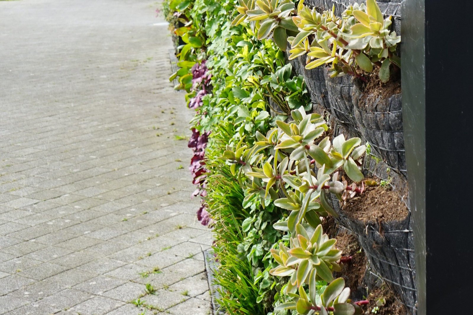 Een close-up van de groene gevel aan het Stadskantoor van Gemeente Middelburg na onderhoud.