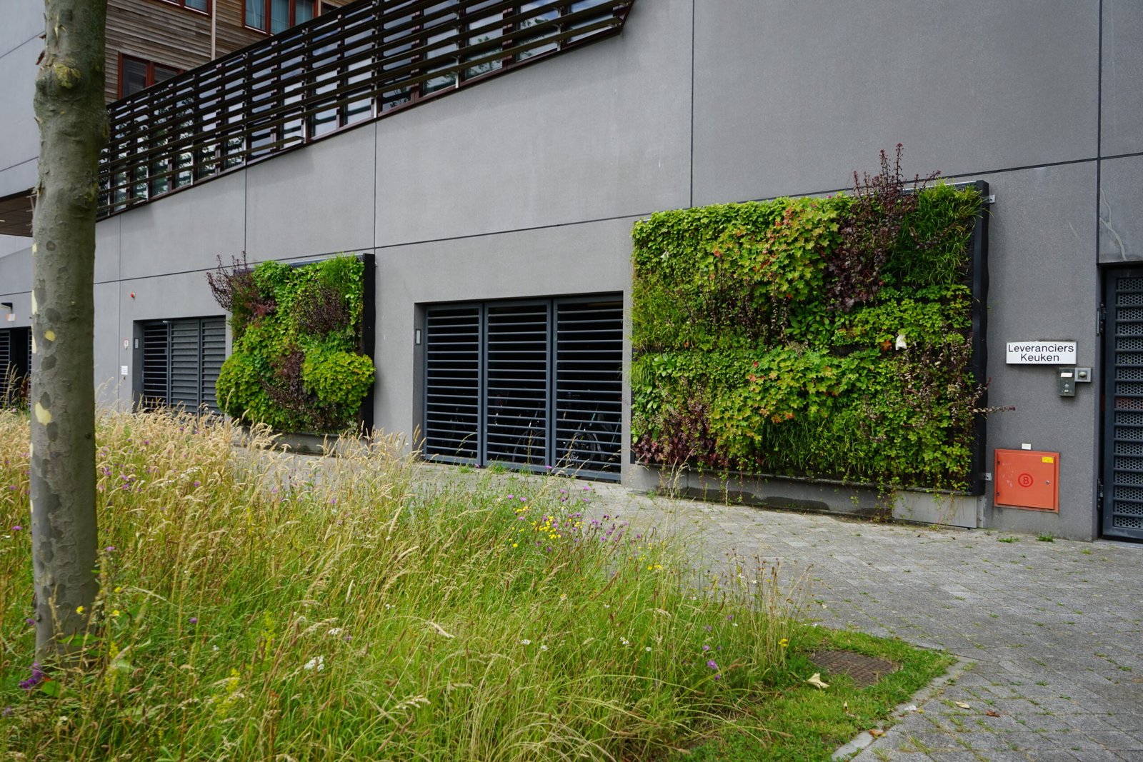 Een beeld van een deel van de groene gevel aan het Stadskantoor van Gemeente Middelburg na onderhoud.