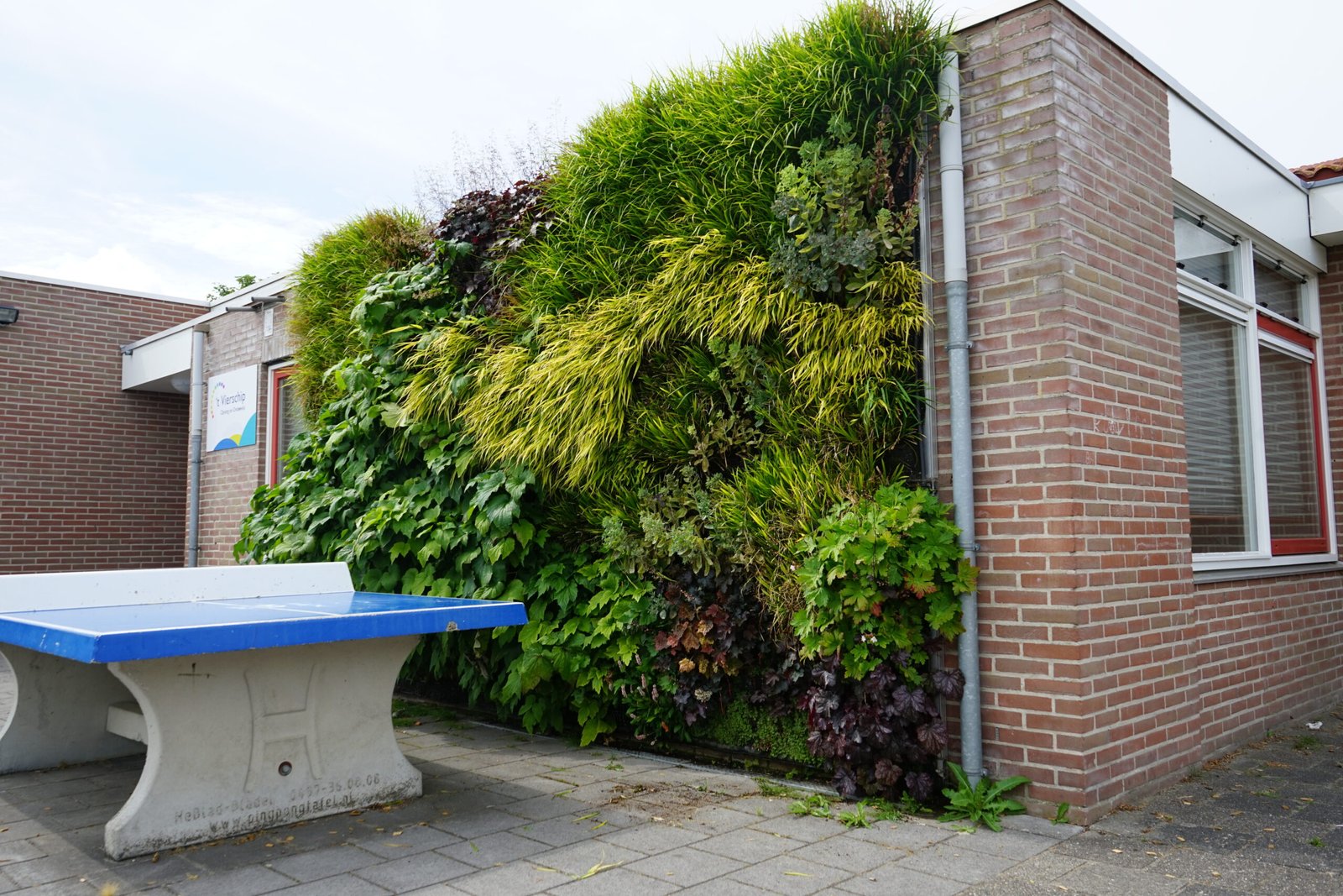 Een overzicht van de groene gevel aan de school: '''t Vierschip''.