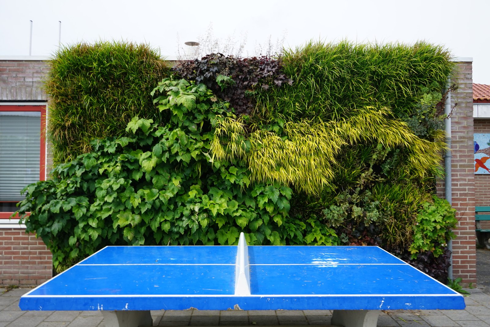 Een vooraanzicht van de groene gevel aan de school: '''t Vierschip''.