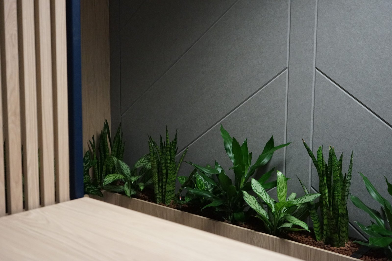 Planten op hydrocultuur ter plaatse van de werkplekken in het Scheldebouw kantoor