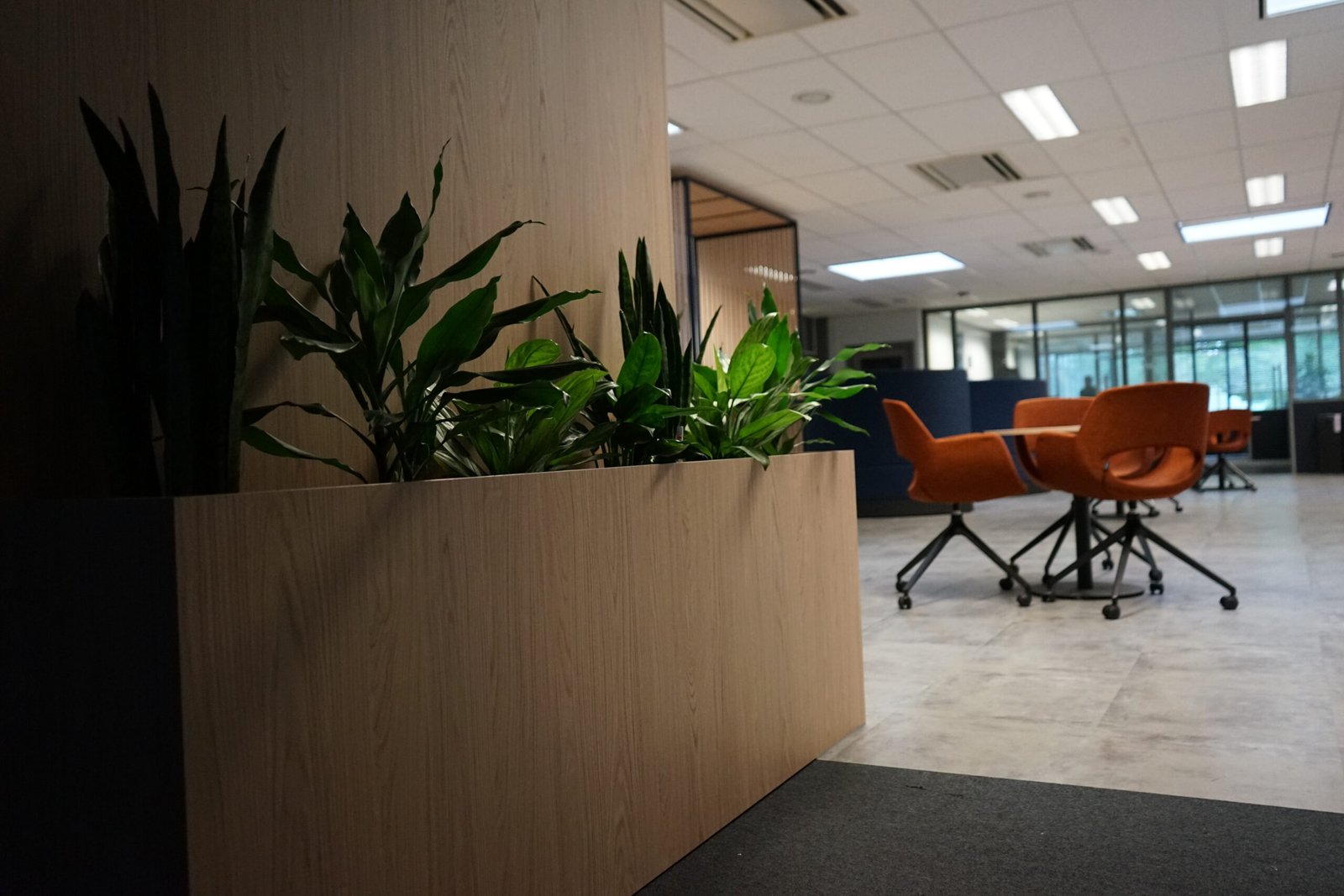 Planten op hydrocultuur ter plaatse van de werkplekken in het Scheldebouw kantoor