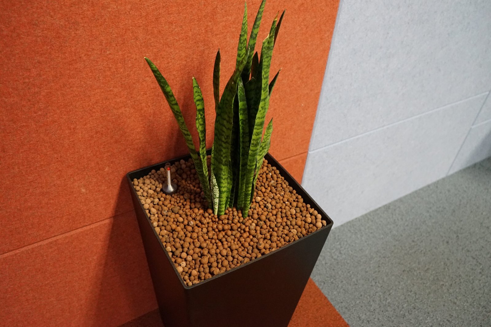 Planten op hydrocultuur ter plaatse van de werkplekken in het Scheldebouw kantoor