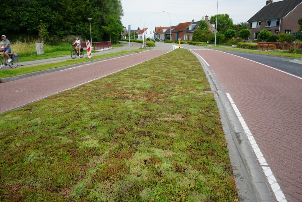 Een beeld van een vluchtheuvel gelegen op Noordweg te St. Laurens in Middelburg. Op de berm is sedum door BotanicArch geplaatst.