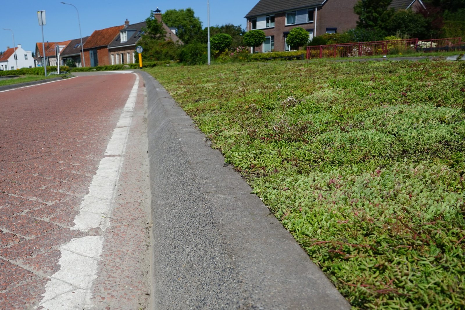 Een close-up van een vluchtheuvel gelegen op Noordweg te St. Laurens in Middelburg. Op de berm is sedum door BotanicArch geplaatst.