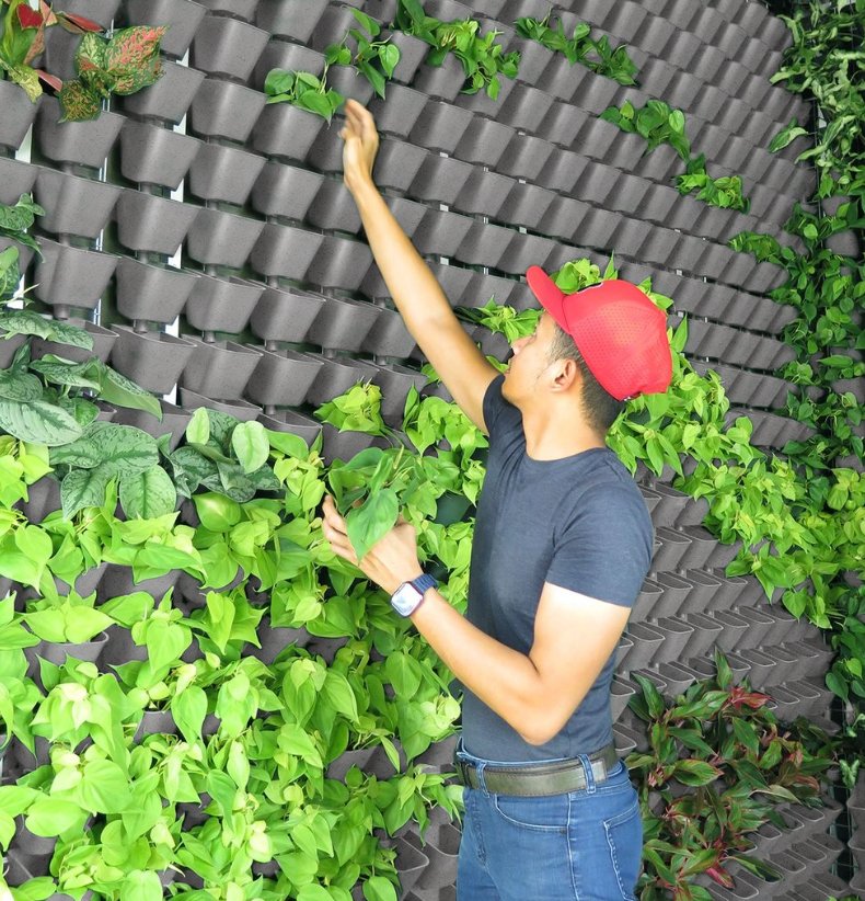 Weergave van biobased groene gevel, ForestWall
